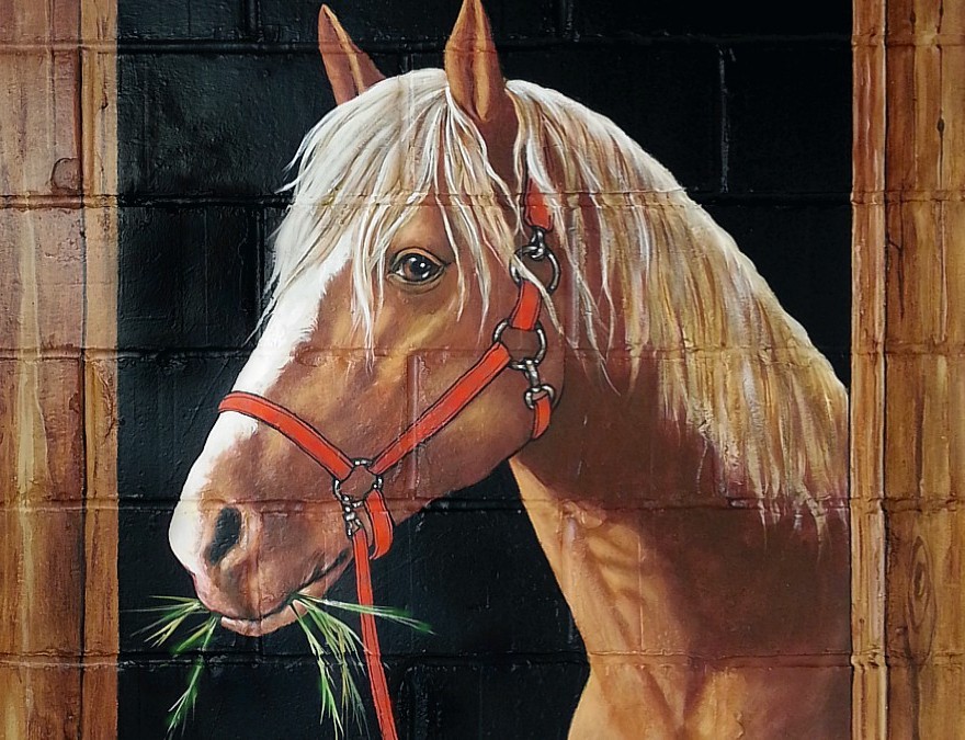 detail van het paard